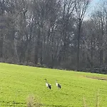 Radaczowa Hébergement de vacances